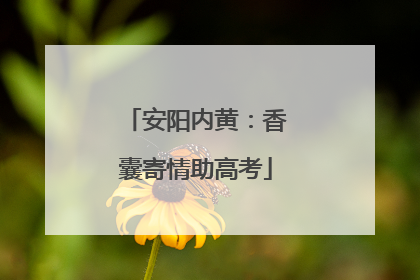 安阳内黄：香囊寄情助高考