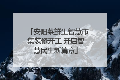 安阳菜鲜生智慧市集装修开工 开启智慧民生新篇章