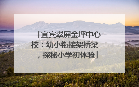 宜宾翠屏金坪中心校：幼小衔接架桥梁，探秘小学初体验