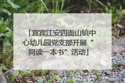 宜宾江安四面山镇中心幼儿园党支部开展“同读一本书”活动