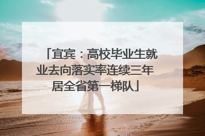 宜宾：高校毕业生就业去向落实率连续三年居全省第一梯队