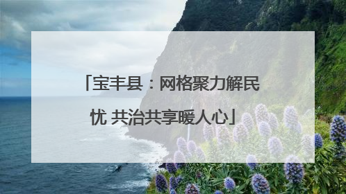 宝丰县：网格聚力解民忧 共治共享暖人心