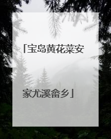 宝岛黄花菜安家尤溪畲乡