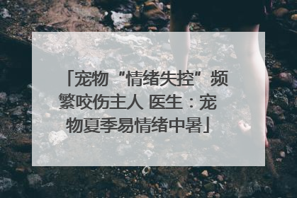 宠物“情绪失控”频繁咬伤主人 医生：宠物夏季易情绪中暑