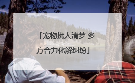 宠物扰人清梦 多方合力化解纠纷