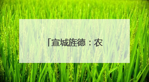 宣城旌德：农旅融合绘就“莓”好“蓝”图