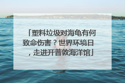 塑料垃圾对海龟有何致命伤害？世界环境日，走进开普敦海洋馆