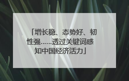 增长稳、态势好、韧性强……透过关键词感知中国经济活力