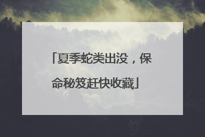 夏季蛇类出没，保命秘笈赶快收藏