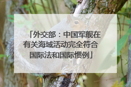 外交部：中国军舰在有关海域活动完全符合国际法和国际惯例