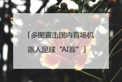 多图直击国内首场机器人足球“AI赛”