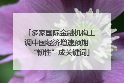 多家国际金融机构上调中国经济增速预期 “韧性”成关键词
