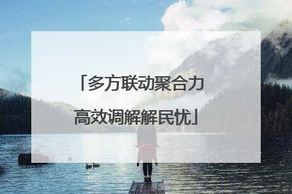 多方联动聚合力 高效调解解民忧
