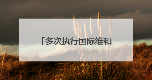 多次执行国际维和任务 山东公安民警陈强亮相国新办