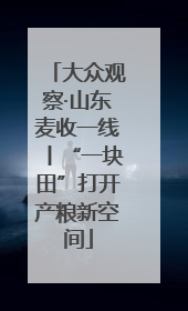 大众观察·山东麦收一线丨“一块田”打开产粮新空间