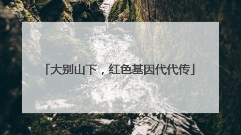 大别山下，红色基因代代传