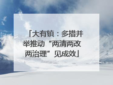 大有镇：多措并举推动“两清两改两治理”见成效