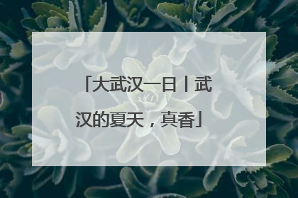 大武汉一日丨武汉的夏天，真香