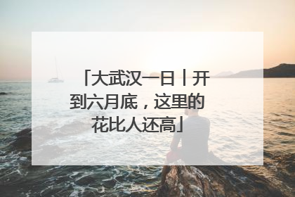 大武汉一日︱开到六月底，这里的花比人还高