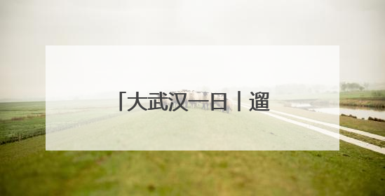 大武汉一日︱遛娃好去处＋1！免费，还无需预约