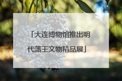大连博物馆推出明代藩王文物精品展