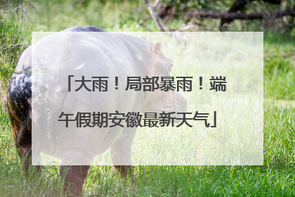 大雨！局部暴雨！端午假期安徽最新天气