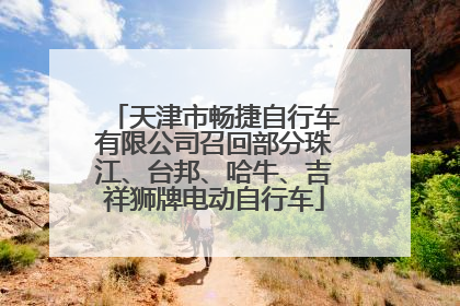 天津市畅捷自行车有限公司召回部分珠江、台邦、哈牛、吉祥狮牌电动自行车