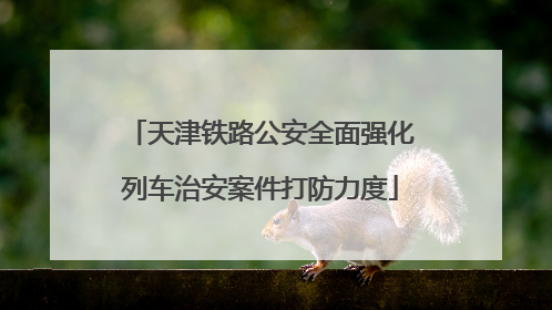 天津铁路公安全面强化列车治安案件打防力度
