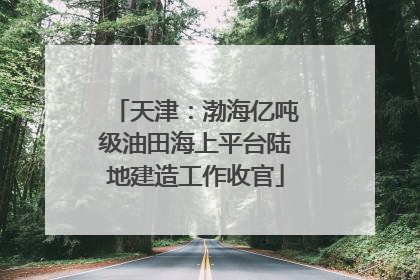 天津：渤海亿吨级油田海上平台陆地建造工作收官