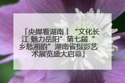 央媒看湖南丨“文化长江 魅力岳阳”第七届“乡愁湘韵”湖南省摄影艺术展览盛大启幕