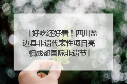 好吃还好看！四川盐边县非遗代表性项目亮相成都国际非遗节