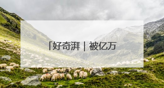 好奇湃｜被亿万富翁选中的车手