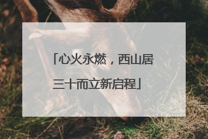 心火永燃，西山居三十而立新启程