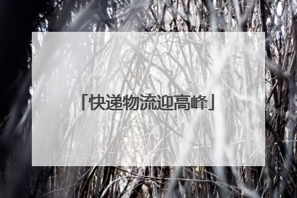 快递物流迎高峰