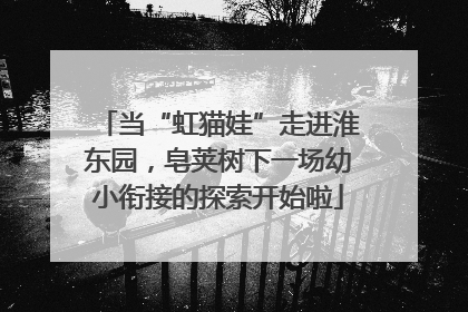 当“虹猫娃”走进淮东园，皂荚树下一场幼小衔接的探索开始啦