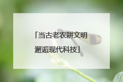 当古老农耕文明邂逅现代科技