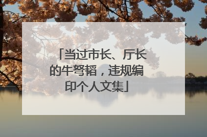 当过市长、厅长的牛弩韬，违规编印个人文集