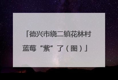 德兴市绕二镇花林村蓝莓“紫”了（图）