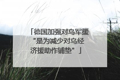 德国加强对乌军援 “是为减少对乌经济援助作铺垫”