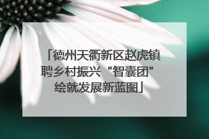 德州天衢新区赵虎镇聘乡村振兴“智囊团” 绘就发展新蓝图