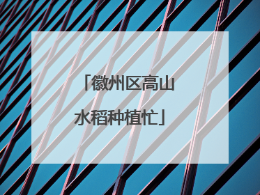 徽州区高山水稻种植忙