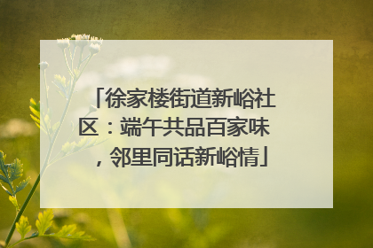 徐家楼街道新峪社区：端午共品百家味，邻里同话新峪情