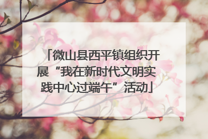 微山县西平镇组织开展“我在新时代文明实践中心过端午”活动