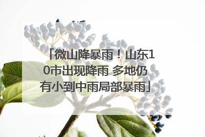 微山降暴雨！山东10市出现降雨 多地仍有小到中雨局部暴雨