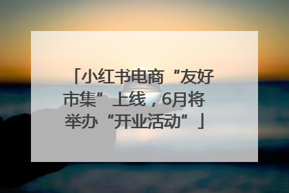 小红书电商“友好市集”上线，6月将举办“开业活动”