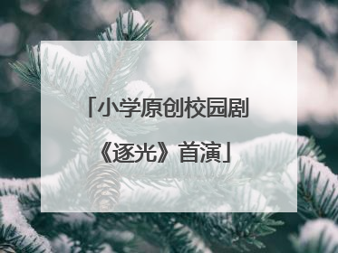 小学原创校园剧《逐光》首演