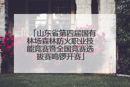 山东省第四届国有林场森林防火职业技能竞赛暨全国竞赛选拔赛鸣锣开赛
