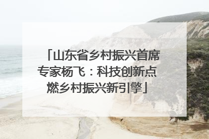 山东省乡村振兴首席专家杨飞：科技创新点燃乡村振兴新引擎
