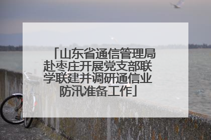 山东省通信管理局赴枣庄开展党支部联学联建并调研通信业防汛准备工作