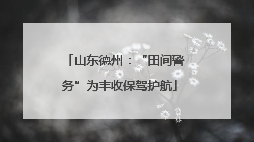 山东德州:“田间警务”为丰收保驾护航